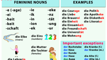 What is the masculine plural of Jeune?