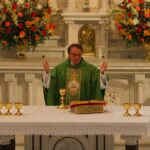 What is the mass of Etiam?