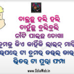 What is the meaning of stream in Odia?