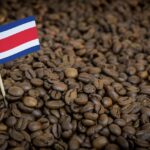 What is the most flavorful coffee?