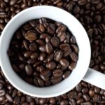 What is the most popular coffee bean?