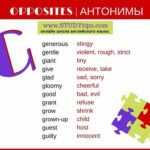 What is the opposite of Alto?