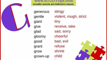 What is the opposite of Alto?