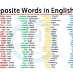 What is the opposite of Ambicioso in Spanish?