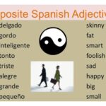 What is the opposite of Grande in Spanish?