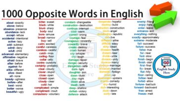 What is the opposite of Mucho in Spanish?