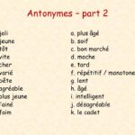 What is the opposite of intelligent in French?