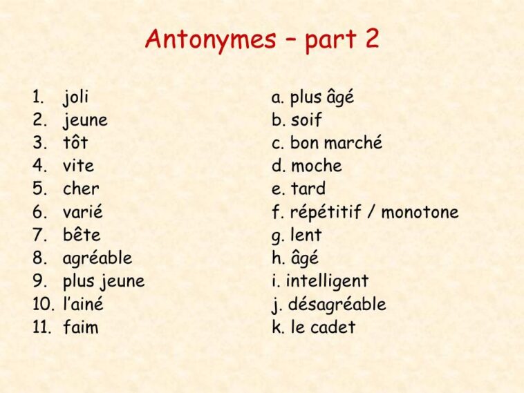 What is the opposite of intelligent in French?