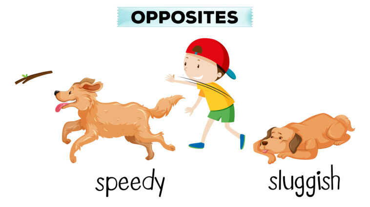 What is the opposite of izquierda?