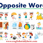 What is the opposite of joven in Spanish?