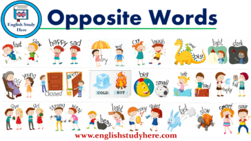 What is the opposite of joven in Spanish?