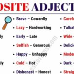 What is the opposite of organizado?