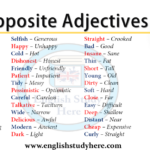 What is the opposite of tall in English?