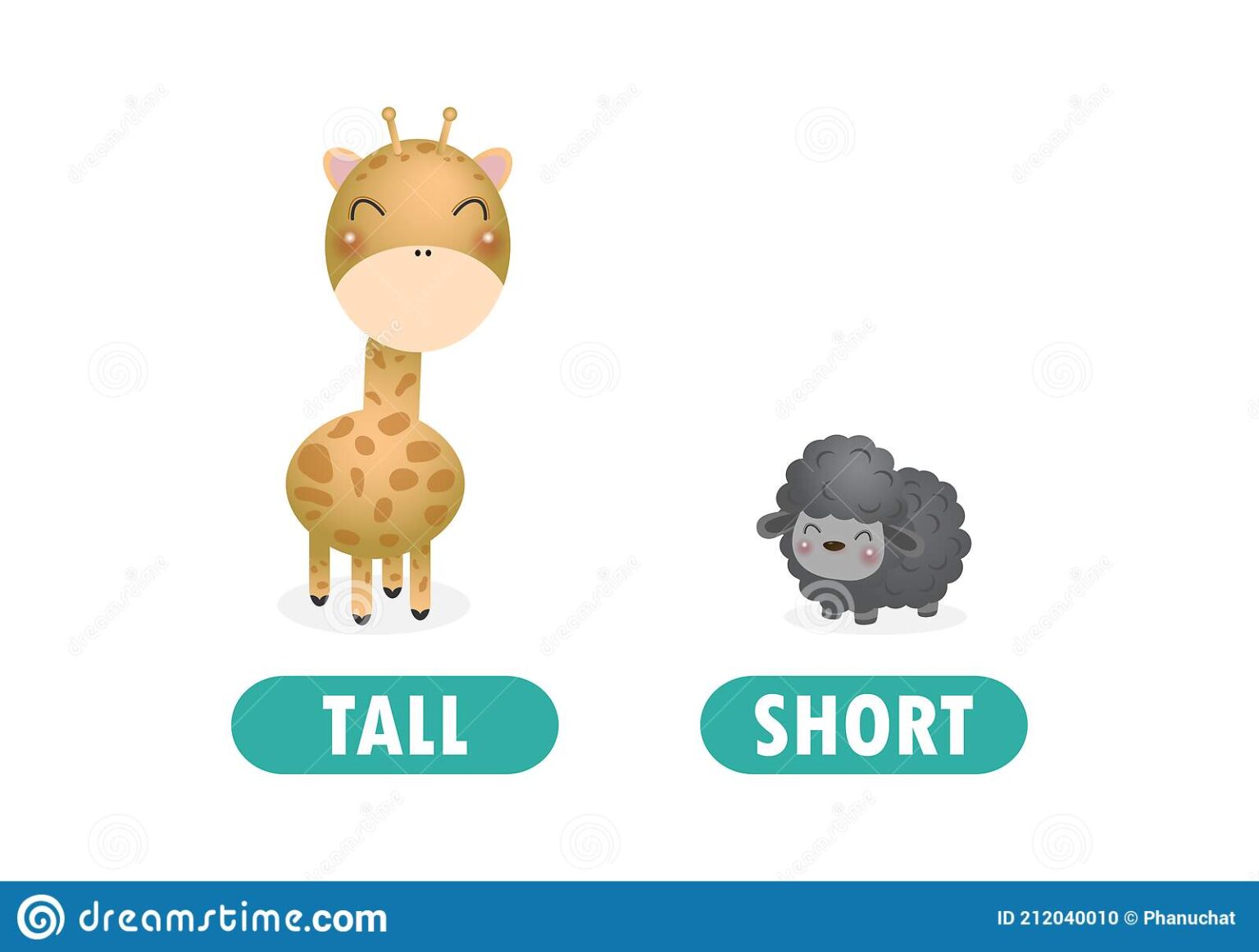 What Is The Opposite Of Tall Tall 