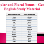 What is the plural form of Feliz?