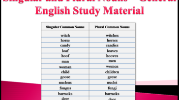 What is the plural form of Feliz?