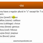 What is the plural of big in French?