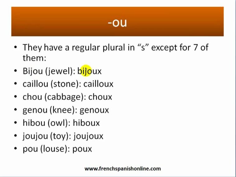 What is the plural of big in French?