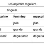 What is the plural of mince in French?