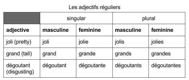 What is the plural of mince in French?