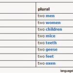 What is the plural version of facil?
