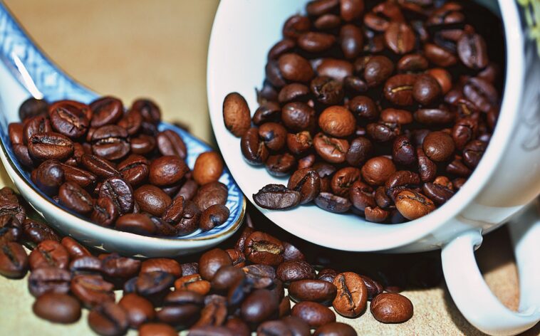 What is the rate of robusta coffee?