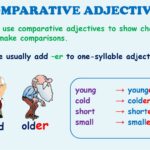 What is the the adjective we use for velum?