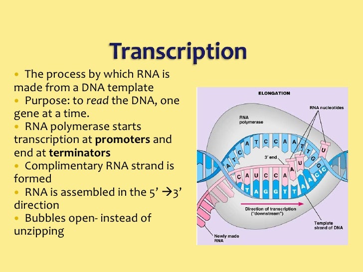 What is the transcription of Sharp?