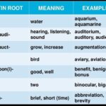 What is the word for do in Latin?