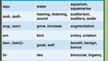 What is the word for do in Latin?
