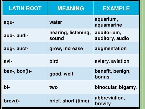 What is the word for do in Latin?