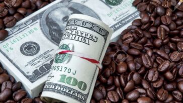 What is today's coffee price?