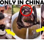 What is worse than disgusting?