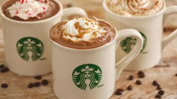 What kind of hot chocolate does Starbucks have?