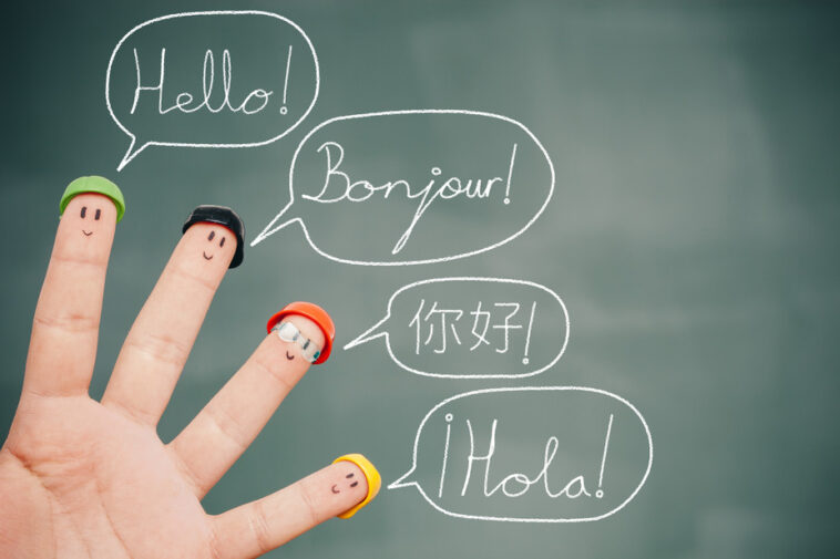 What language is bien?