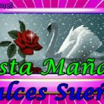 What means Hasta manana?