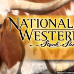 What should I stock up for 2022?