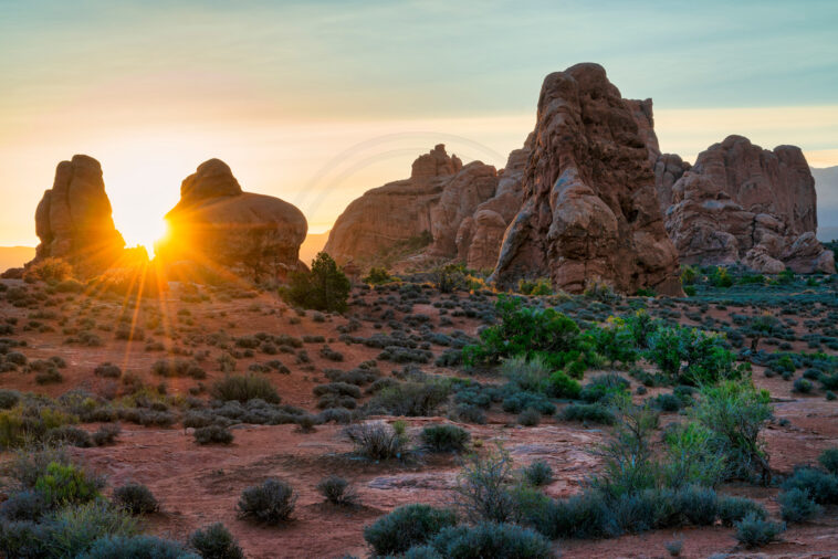 What size drink can I get with 150 stars?