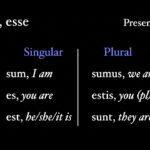 What tense is esse?