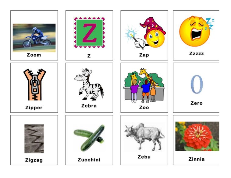 What words have Z in them?