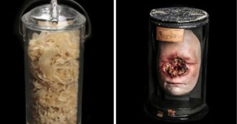 What's a better word than disgusting?