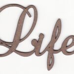 What's a fancy word for life?