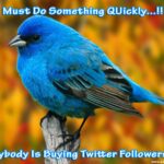 Whats cheaper link or Bird?