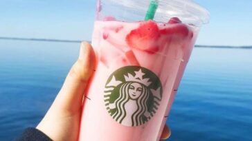 What's in the pink drink at Starbucks?