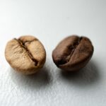 What's the difference between premium and gourmet?