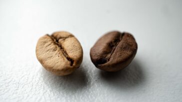 What's the difference between premium and gourmet?