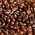 Where are best coffee beans in the Philippines?