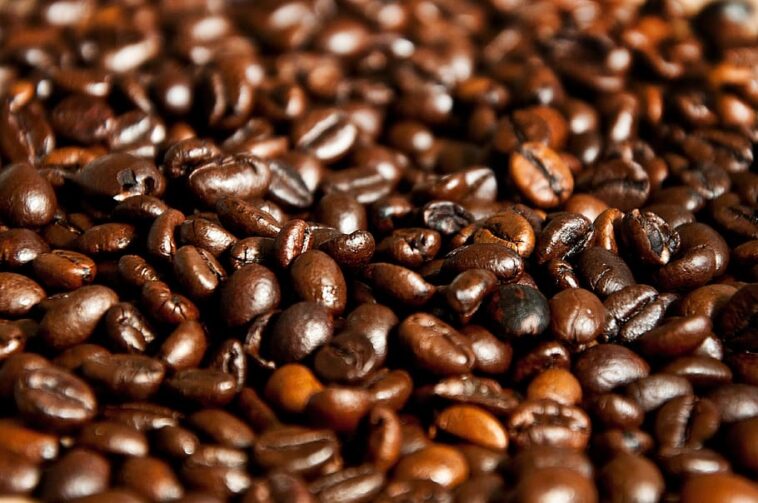 Where are best coffee beans in the Philippines?
