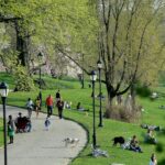 Where can I park for free in NYC?