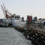 Where can I read in Brooklyn?